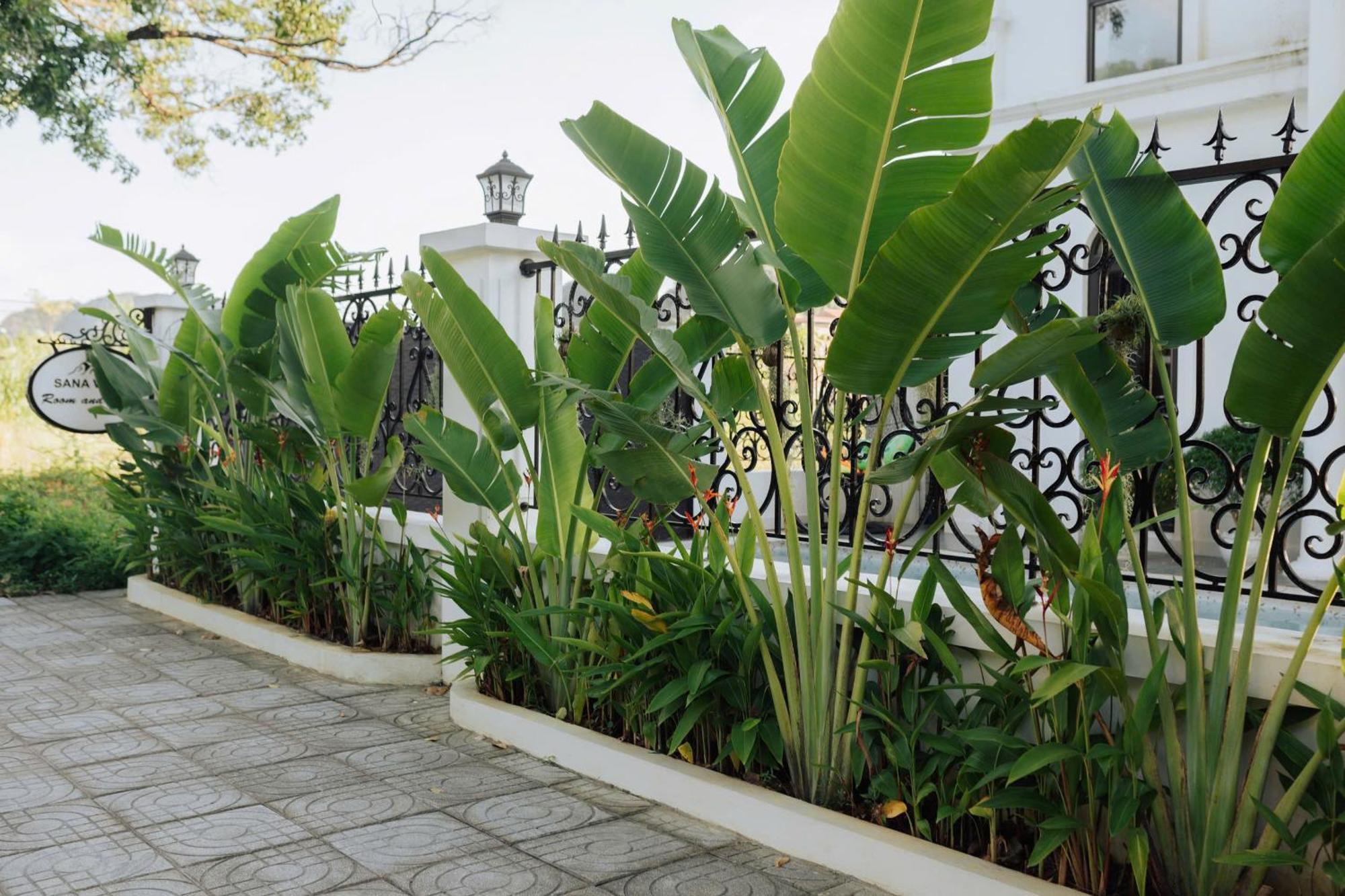 Tam Coc Sana Villa & Homestays 닌빈 외부 사진